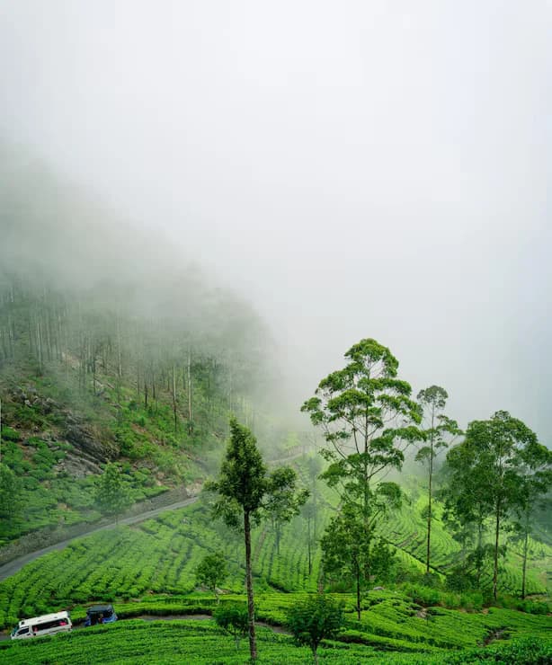 Wayanad photo 2