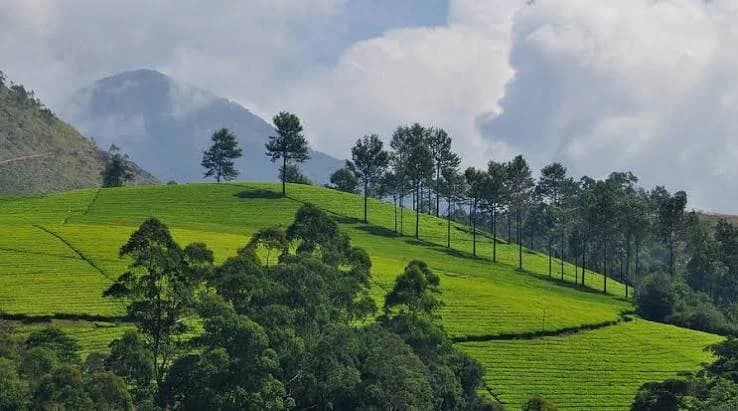 Wayanad photo 4