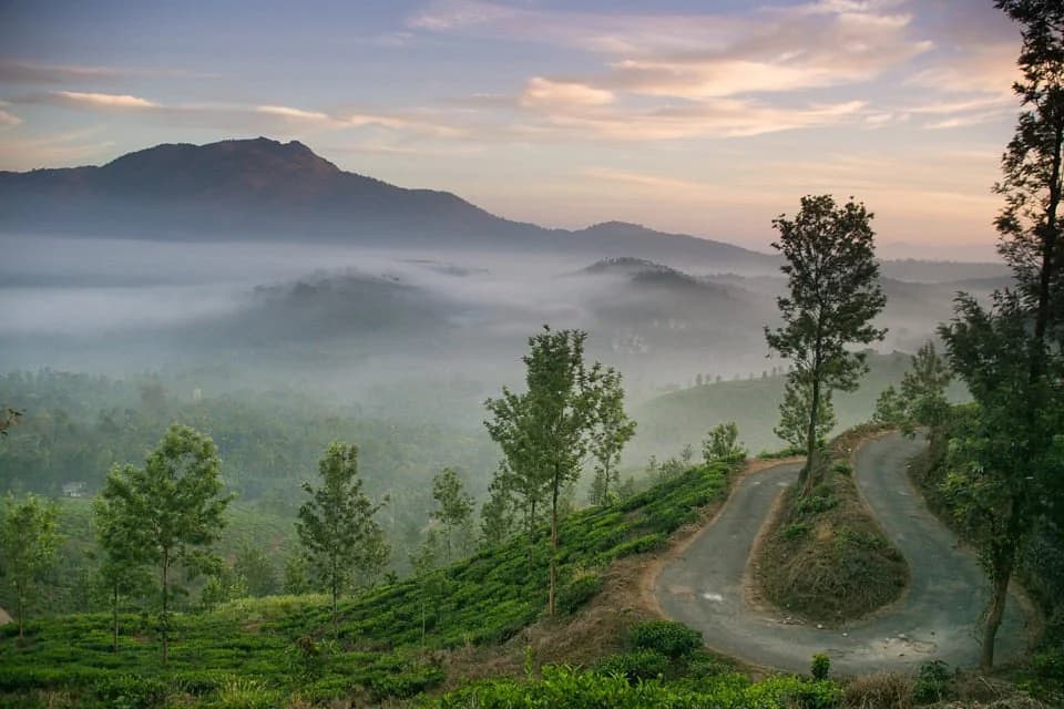 Wayanad photo 5