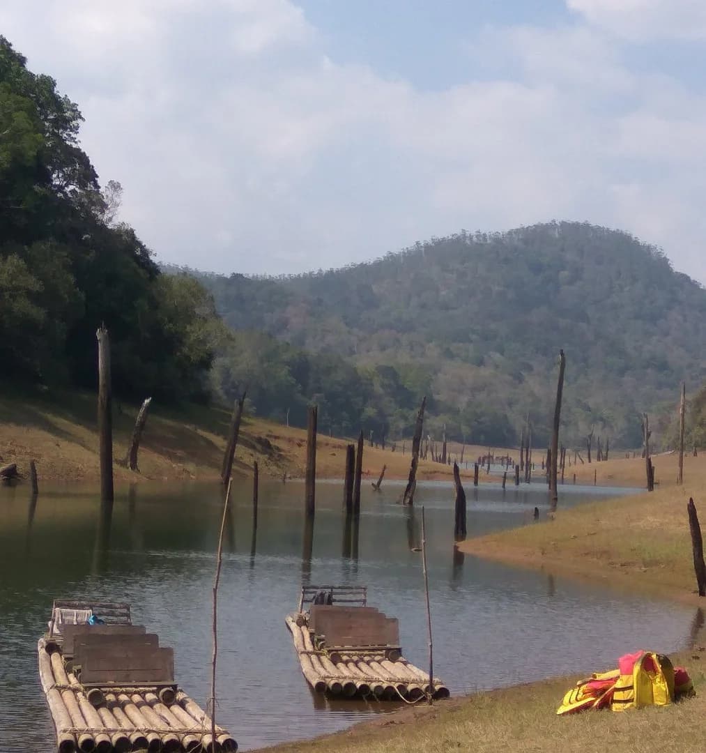 Thekkady photo 2