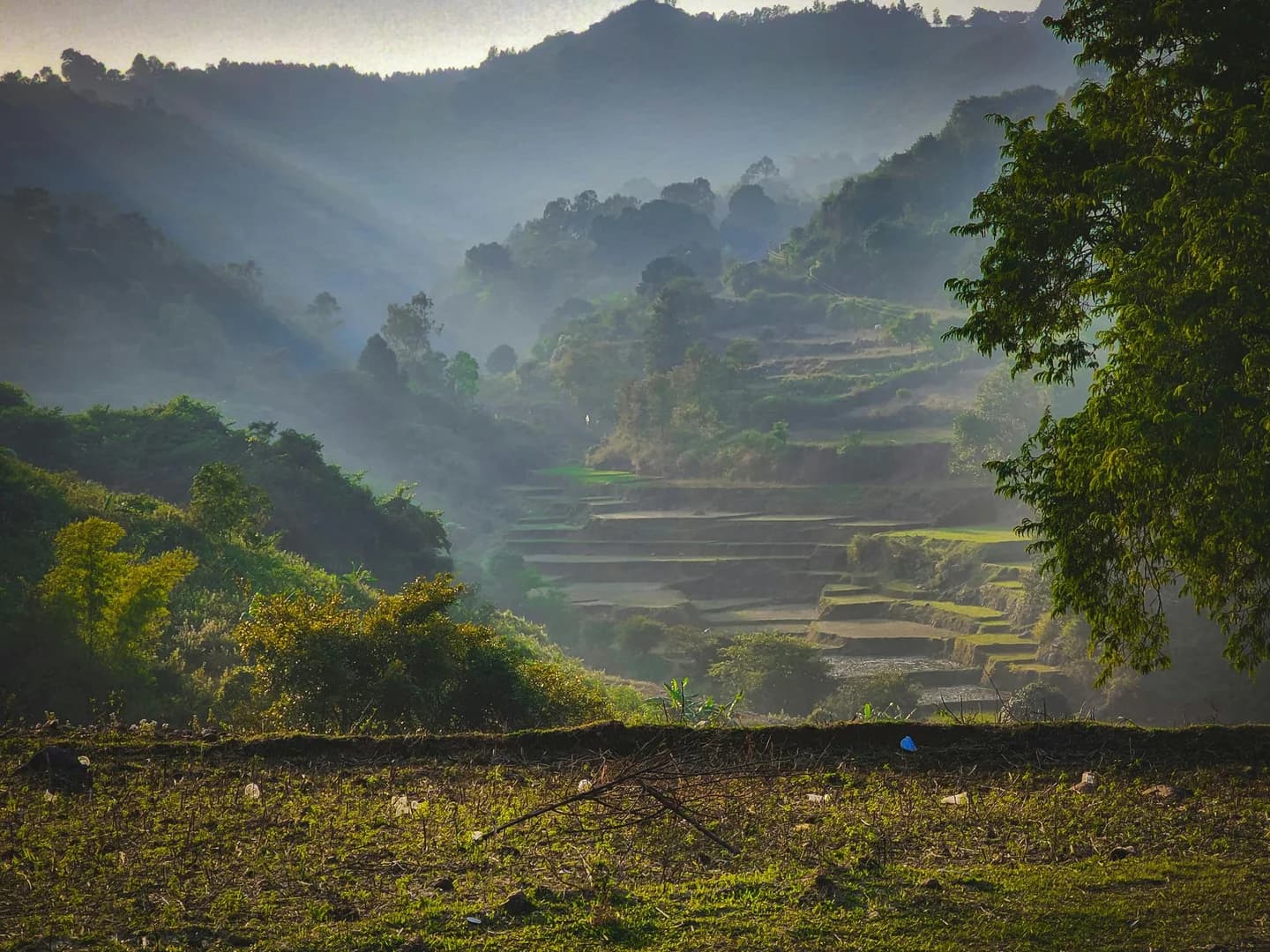 Araku Valley photo 2