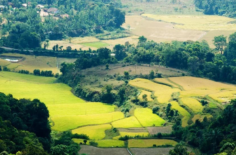 Coorg