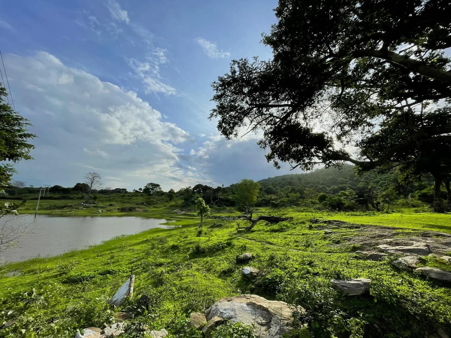 Bandipur