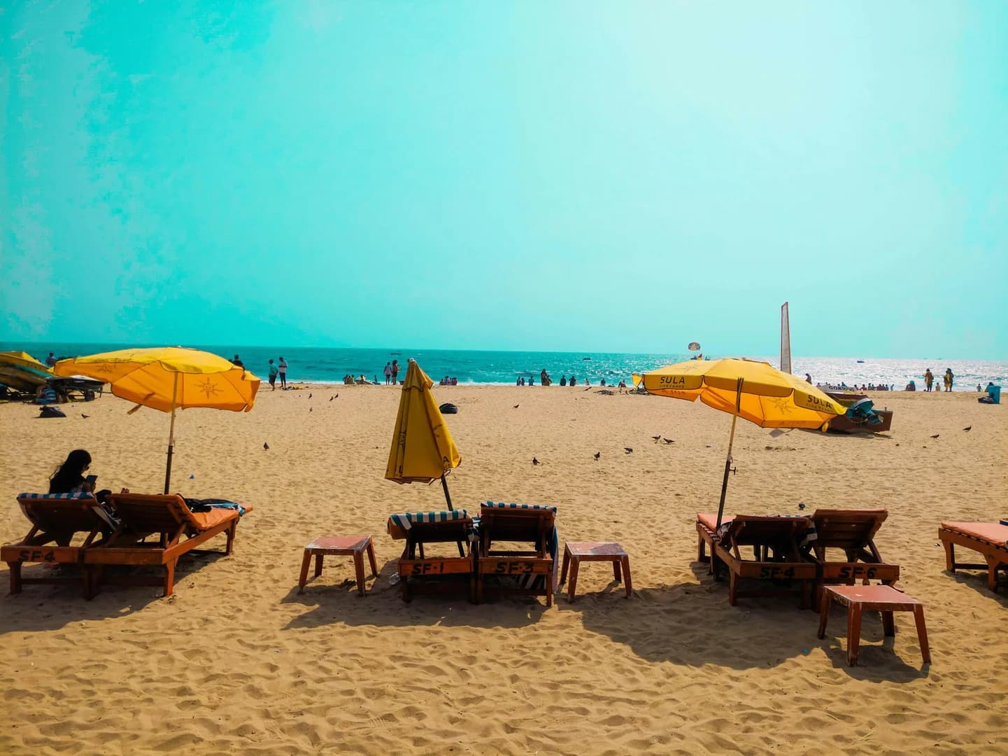 Vibrant North & Serene South Goa Highlights
